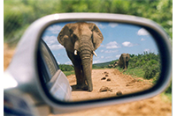 leisure-travel